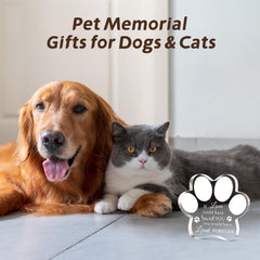 Cynlsum pet memorial ornament sunlight reflection crystal, adds warm glow to home décor
