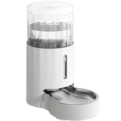 CZPET 4L pet water dispenser setup demonstrates easy use and clean water replenishment.