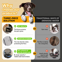CZPET large-dog water dispenser on ergonomic stand supports comfortable posture.