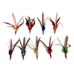 Da Bird Super Feather pack of 3 for ongoing interactive exercise and play sessions.