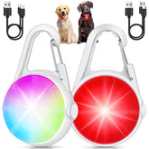 DAAMENT dog-collar-light clip-on white, improves visibility for safer night walks.