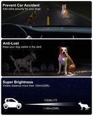 DAAMENT dog light with four modes for versatile night walking