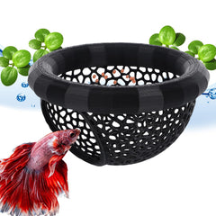 Daelala floating betta hammock resting near the surface for relaxed, natural behavior.