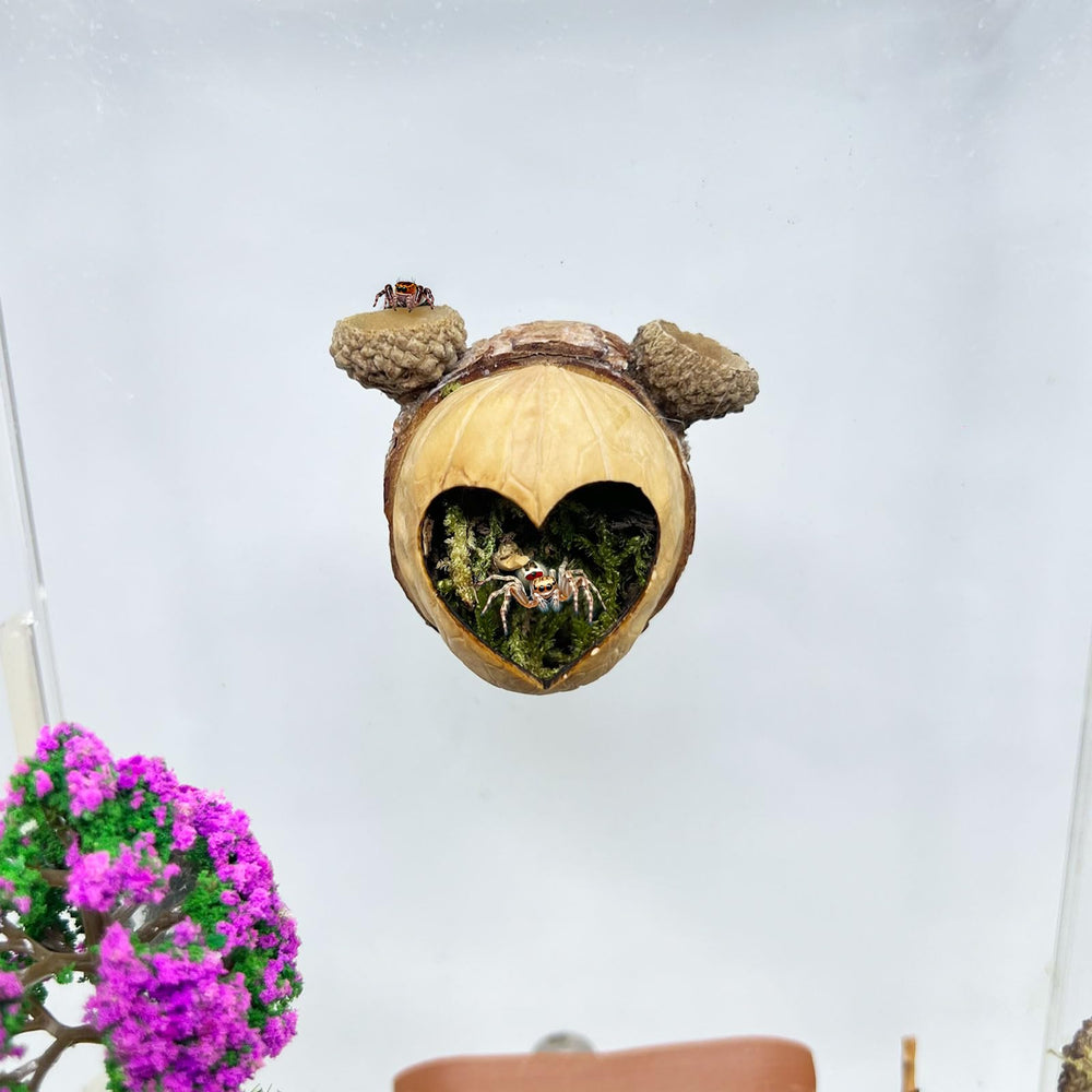 Daerky Jumping Spider Hideaway heart-shaped cave offering cozy shelter and playful décor.