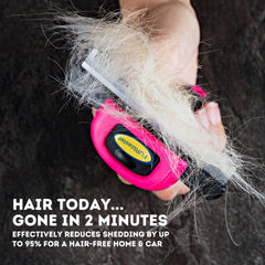 DakPets deshedding tool close-up showing stainless steel blade for easy grooming.