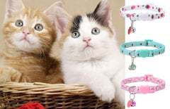 DALOO floral pattern variety pack shows multiple colors for seasonal styling