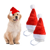 Dancepanda mini dog Santa hat red front view on a dog for festive photos.