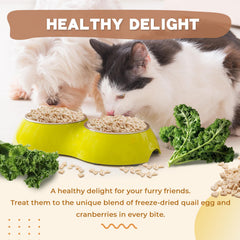 Dancing Tail freeze-dried chicken kale treat pack shown for small pets.