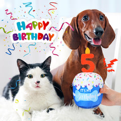 Dansydaisy dog birthday cake toy blue squeaker closeup demonstrates interactive play and attention