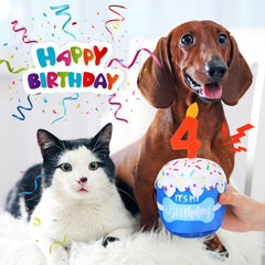 Dansydaisy dog birthday cake toy soft surface for teething-friendly play.
