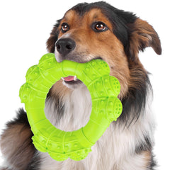 DAOZIJI indestructible ring toy closeup highlighting thick durability for aggressive chewers