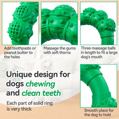 DAOZIJI interactive dog toy for indoor and outdoor play