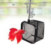 DaToo 3-inch aquarium net with nano-mesh enables gentle fish transfers.