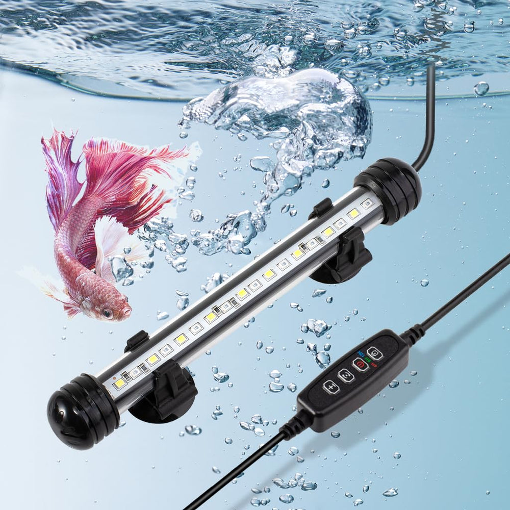 DaToo 4W submersible aquarium light in-tank view enhances color clarity