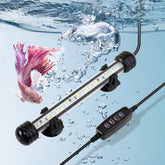 DaToo 4W submersible aquarium light in-tank view enhances color clarity