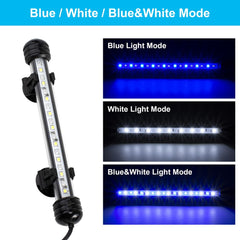 DaToo 6W white mode shows natural daylight for vibrant colors