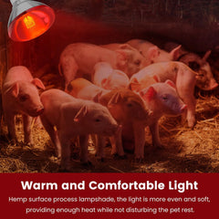 DaToo borosilicate glass construction signals durability in high-temp, humid environments.