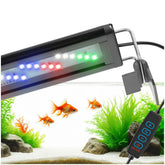 DaToo LED aquarium light with extendable bracket for 8-12 inch tanks, sturdy and adjustable.