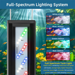DaToo light mode controls show three modes and brightness options for flexible viewing.