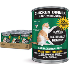 Dave's Pet Food grain-free wet cat food pate chicken 22oz pack — convenient economy size for multiple cats.
