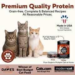 Dave's grain-free wet cat food pate texture displayed for moisture-rich meals