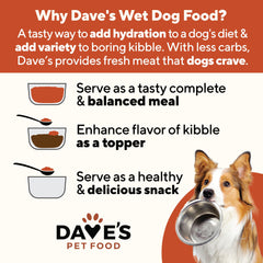 Dave's Pet Food serving bowl scene demonstrates easy serving and fresh water integration.