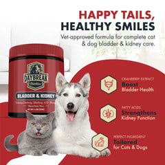 Daybreak Nutrition blueberry-powder-tub: blueberry powder for urinary wellness.