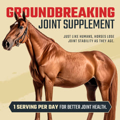 Daybreak Nutrition premium ingredients image – glucosamine, MSM, and chondroitin for mobility.