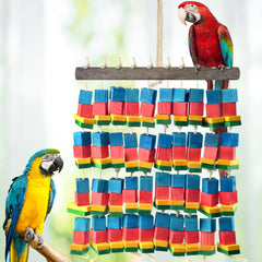 DBNESS bright wood blocks engage macaws with color-rich visuals inviting exploration.