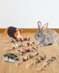 DBNESS timothy-hay-chew highlights teeth-friendly chewing with natural texture appeal.