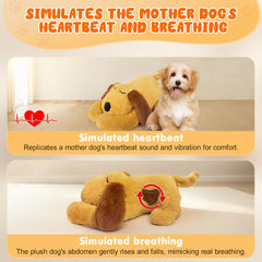 DCIAER heartbeat puppy toy warming-element-visible evokes natural body warmth for comfort