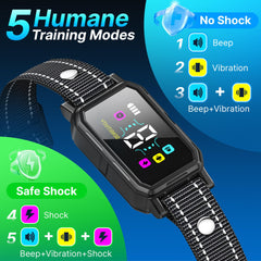 DCVPlan PL30 control dials showcase 5 sensitivity levels for tailored training.