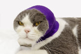 DDFS cat ear wrap noise protection front view highlights lightweight grooming comfort for pets