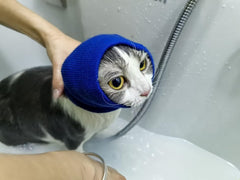 DDFS cat ear wrap noise protection worn on cat demonstrates calm, comfortable grooming sessions