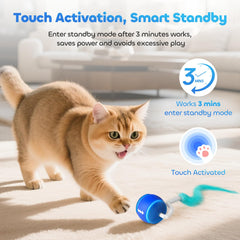 ddxcoo cat toy ball high-speed mode for energetic cats