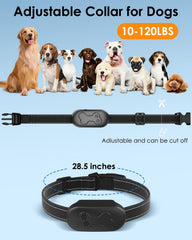 DDZ dog shock collar long-range remote enables outdoor training