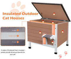 Deblue Ourdoor cat house interior spacious enough for 1-2 cats.