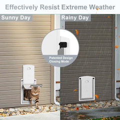 Decormax cat door wall telescoping tunnel demonstrates versatile wall fit