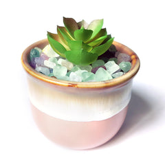 DEEDOCHY decorative stones bring texture to potted plants and terrariums.