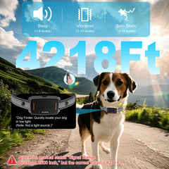 DEIREG dog collar dual-channel setup supports training two dogs simultaneously in real time.