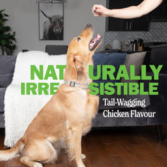 Deley Naturals dog probiotic chews during treat time for easy daily care.
