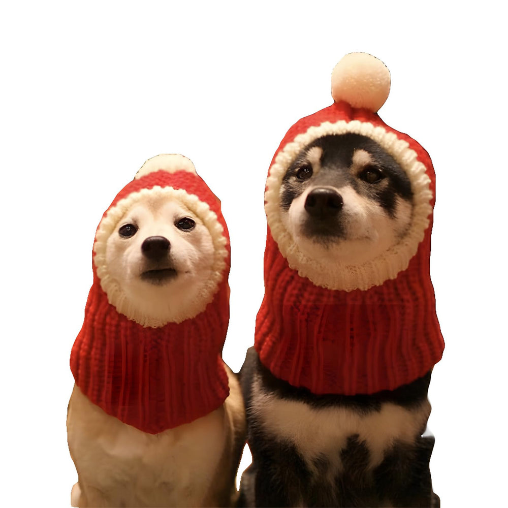 DELIFUR dog Christmas cap pompon front view for cozy winter warmth during walks