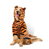 DELIFUR large dog tiger costume hoodie yellow front view for playful Halloween photos