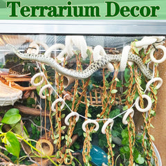 Delllala climbing vines in-tank display provides natural habitat feel and space-saving design