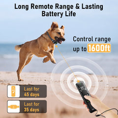 Delupet three training modes collar options for customizable sessions.