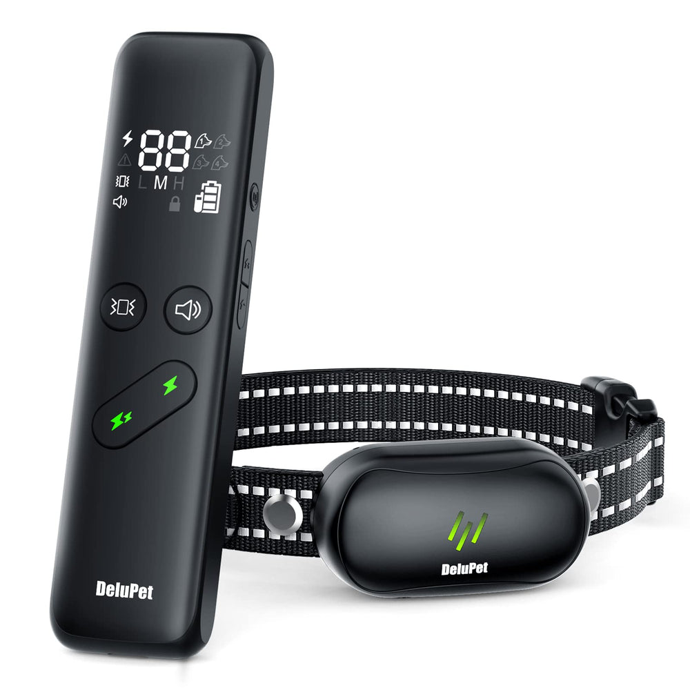 Delupet dog shock collar worn for comfortable, humane training with adjustable fit.