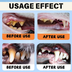 Dental Plus natural plant ingredients shown in clear bottle.