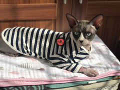 DENTRUN camiseta para gato Sphynx frente verde: comodidad diaria para gatos sin pelo.