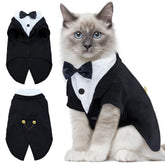 DENTRUN Cat Tuxedo Outfit front view for wedding and photo sessions