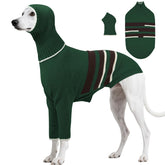 DENTRUN Greyhound sweater knit closeup showing snug long-neck fit for slender breeds